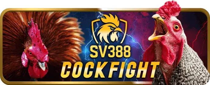 Thưởng nạp lại hàng ngày cho game đá gà tại 234win